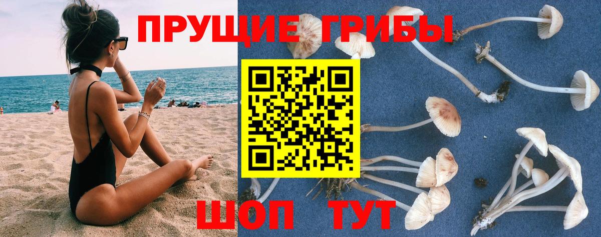 Горно-Алтайск  Псилоцибиновые грибы Magic Shrooms  Вход с VPN  купить закладку  Галлюциногенные грибы MAGIC MUSHROOMS 