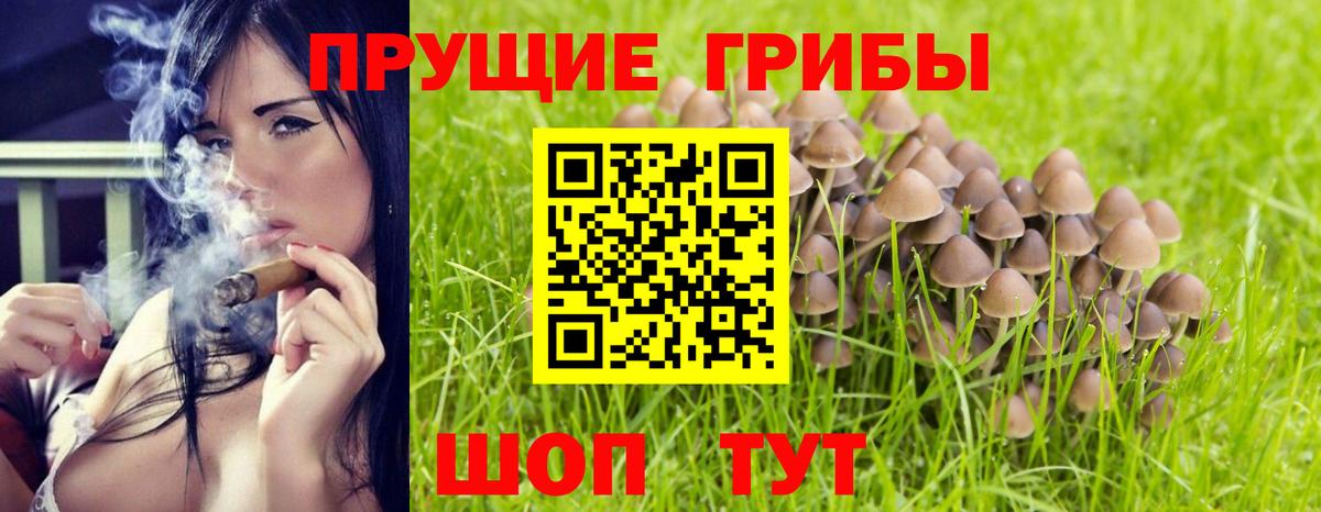 Псилоцибиновые грибы MAGIC MUSHROOMS Горно-Алтайск